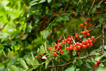 Similar image 712963