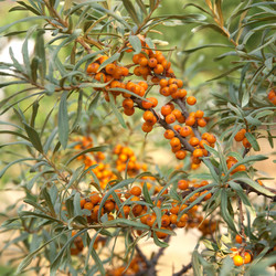 Similar image 712967