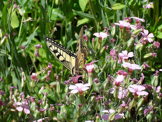 Similar image 712969