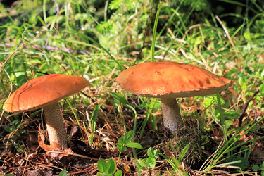 Similar image 713006