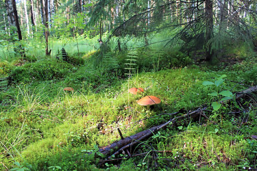 Similar image 713010