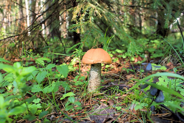 Similar image 713011