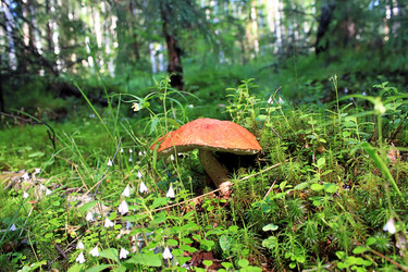 Similar image 713012