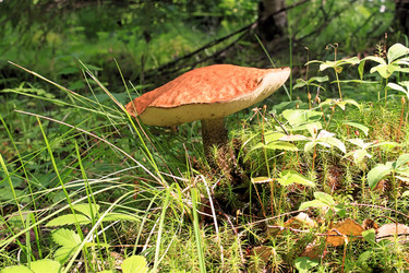 Similar image 713014