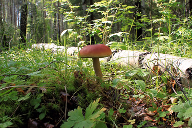 Similar image 713016