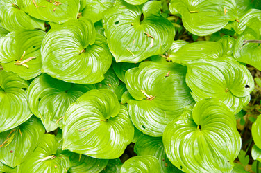 Similar image 713022