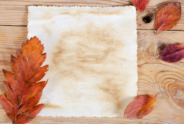 Similar image 713032