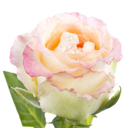 Similar image 713058