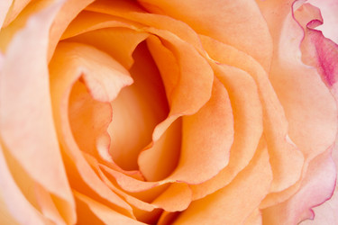 Similar image 713061