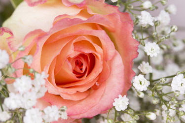 Similar image 713063