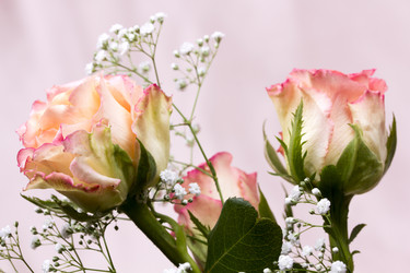 Similar image 713066