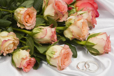 Similar image 713079