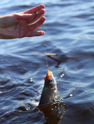 Similar image 713083