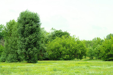 Similar image 713092