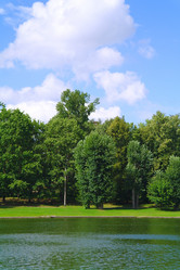 Similar image 713095