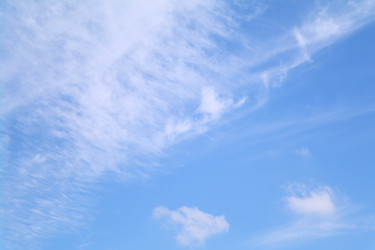 Similar image 713103