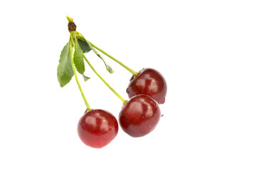 Similar image 713125