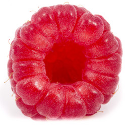 Similar image 713134