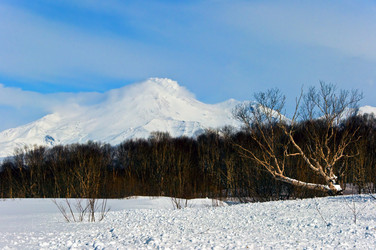 Similar image 713177