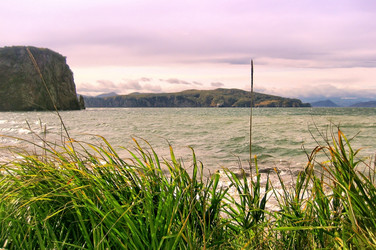 Similar image 713195