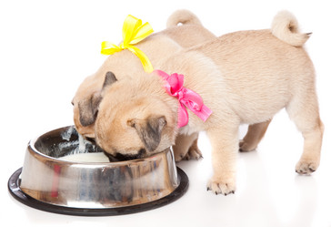 Similar image 713244