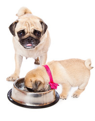 Similar image 713245