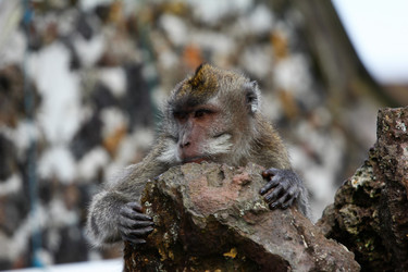 Similar image 713253