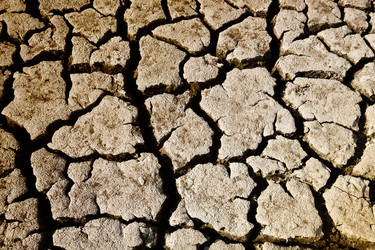 Similar image 713272