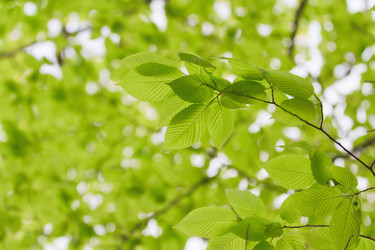 Similar image 713302