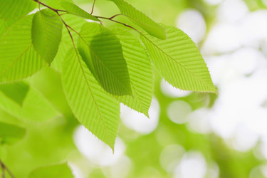 Similar image 713303