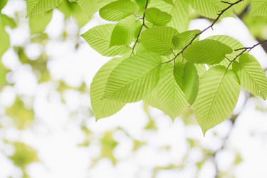 Similar image 713305