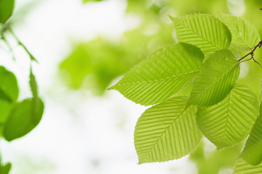 Similar image 713306