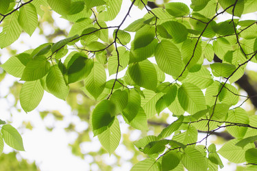 Similar image 713308