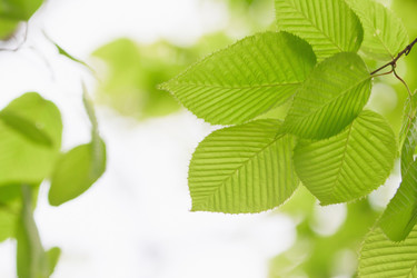 Similar image 713307