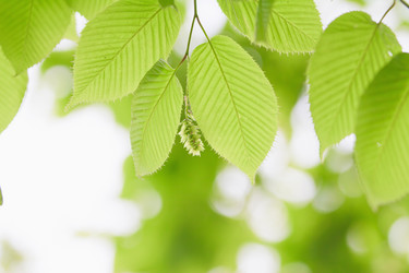 Similar image 713309