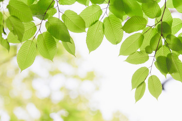 Similar image 713310