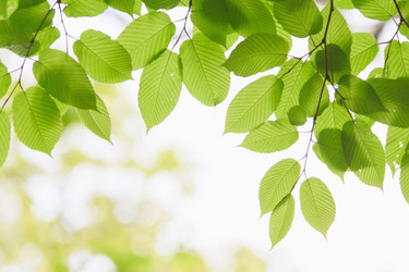 Similar image 713312