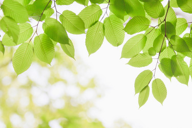 Similar image 713313