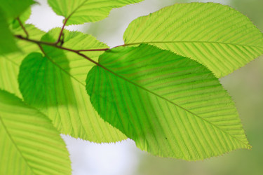 Similar image 713314