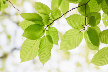 Similar image 713316