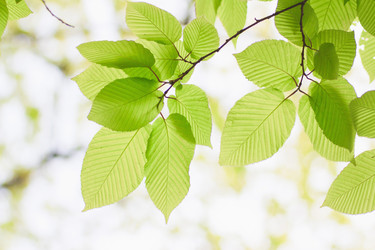 Similar image 713317