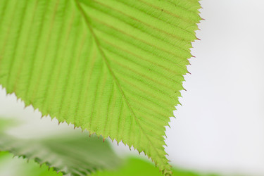 Similar image 713318