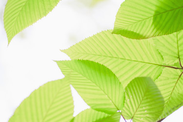 Similar image 713320