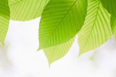 Similar image 713321