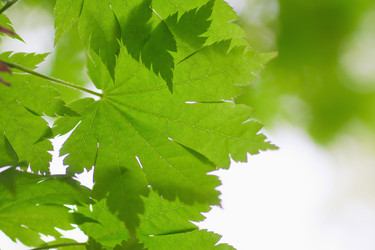 Similar image 713323