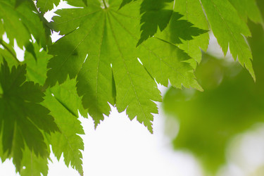 Similar image 713325