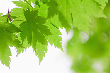 Similar image 713326