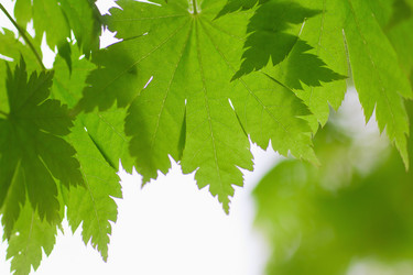 Similar image 713327