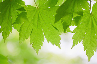 Similar image 713329