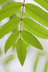 Similar image 713330